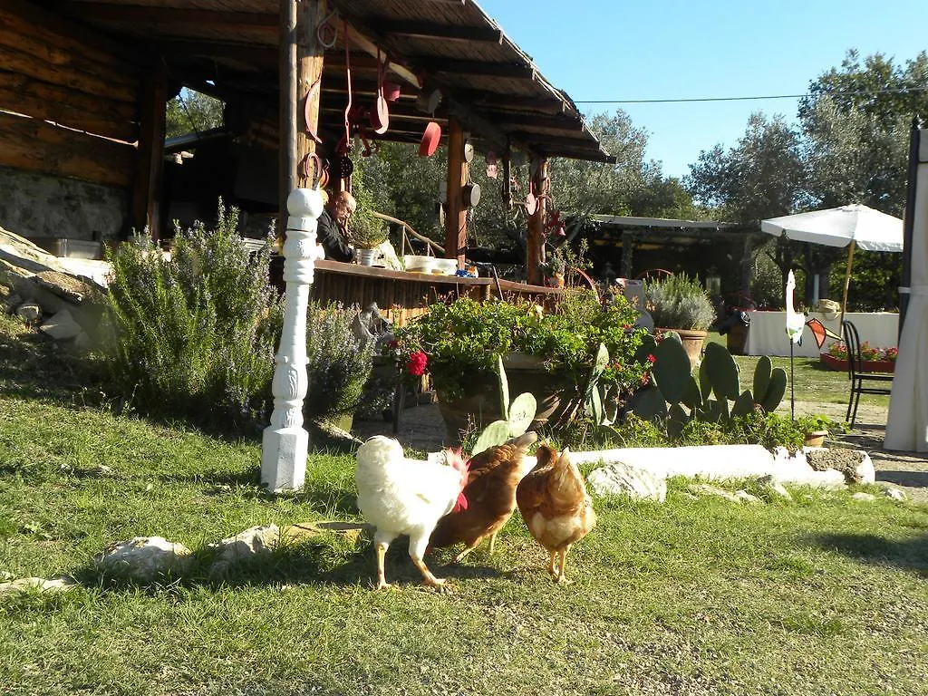 Farma Country Resort Il Frassine Rignano sullʼArno