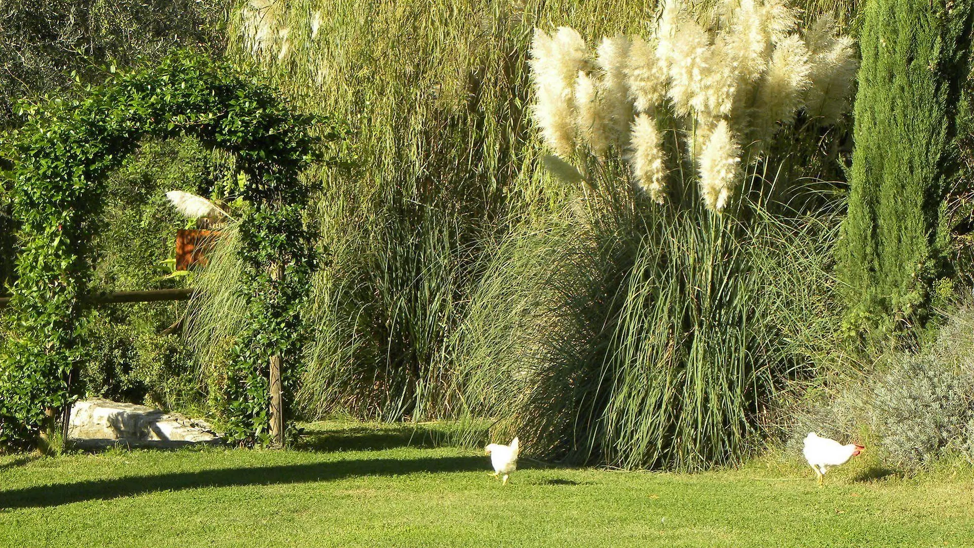 Country Resort Il Frassine Rignano Sull Arno
