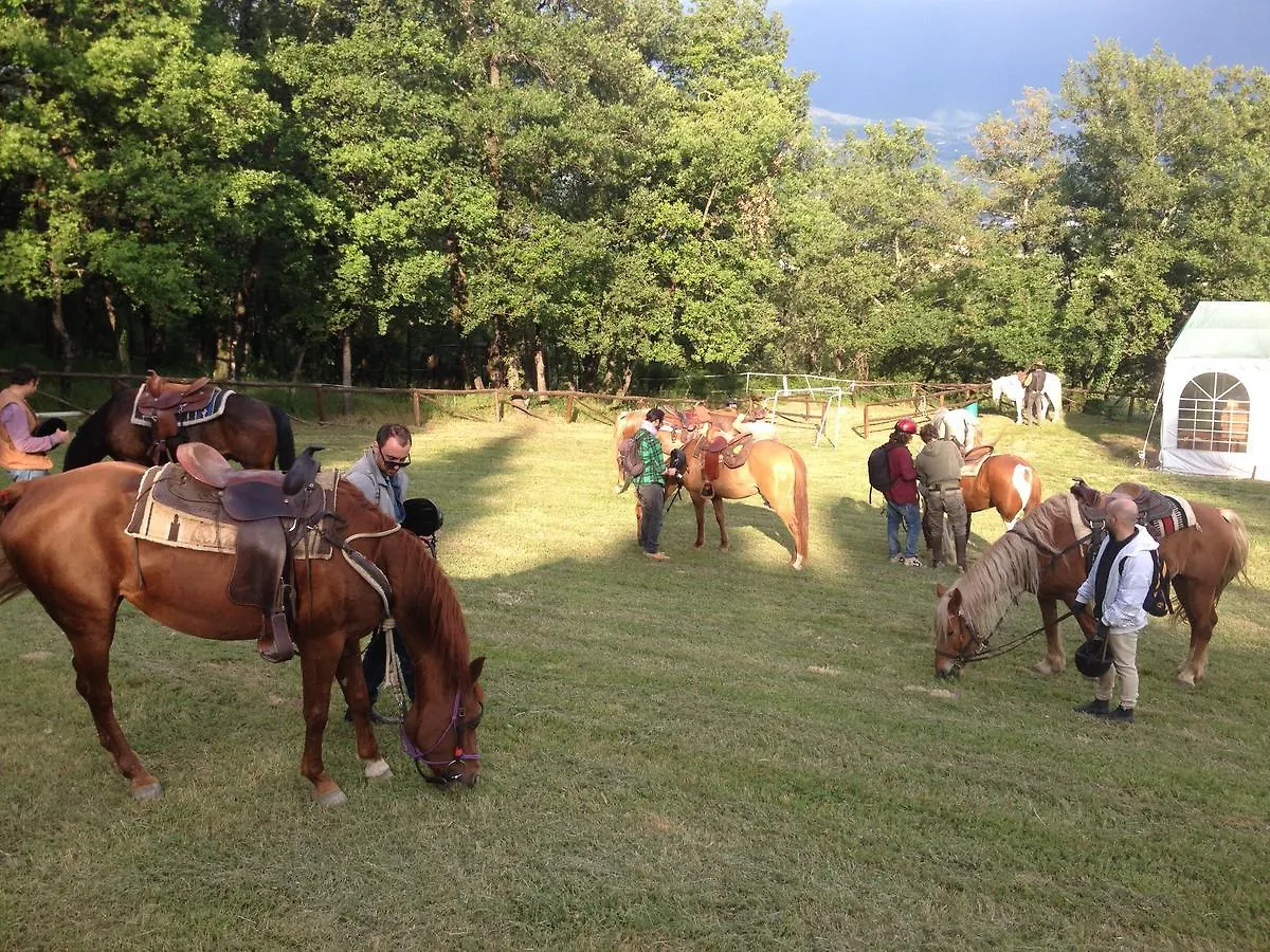 Country Resort Il Frassine Rignano Sull Arno Farm stay